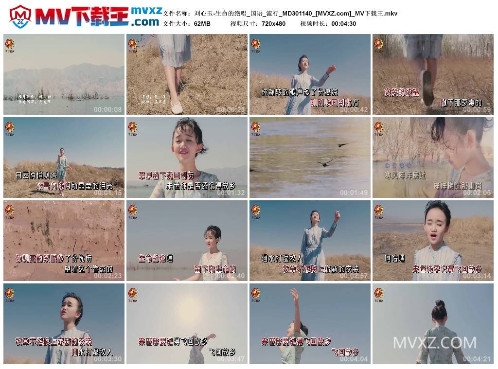 刘心玉-生命的绝唱_国语_流行_MD301140